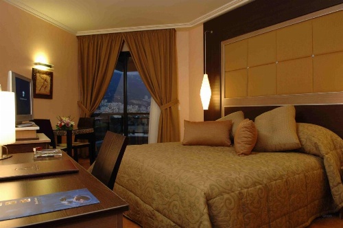 Regency Palace Hotel image 45